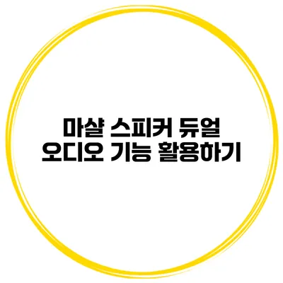 마샬 스피커 듀얼 오디오 기능 활용하기