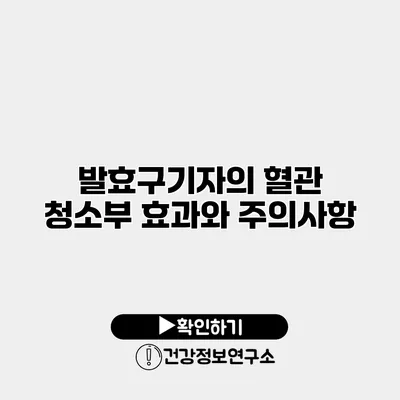 발효구기자의 혈관 청소부 효과와 주의사항