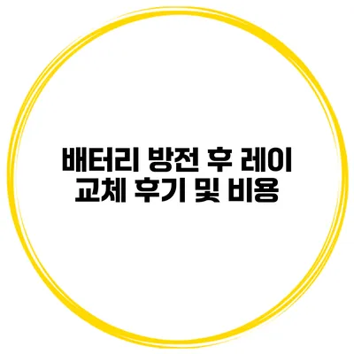 배터리 방전 후 레이 교체 후기 및 비용