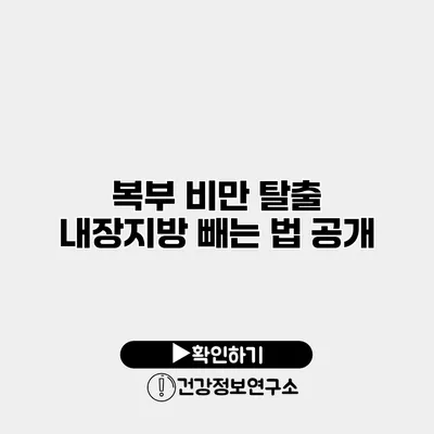 복부 비만 탈출 내장지방 빼는 법 공개