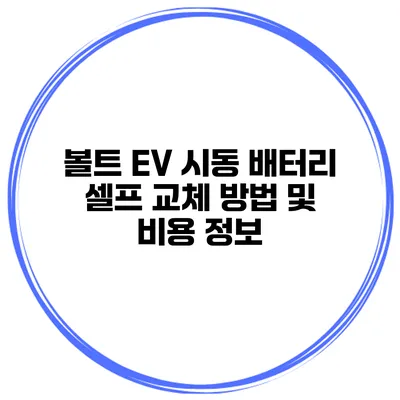 볼트 EV 시동 배터리 셀프 교체 방법 및 비용 정보