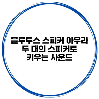 블루투스 스피커 아우라 두 대의 스피커로 키우는 사운드