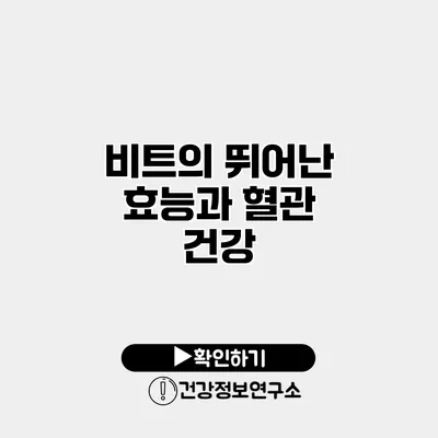 비트의 뛰어난 효능과 혈관 건강