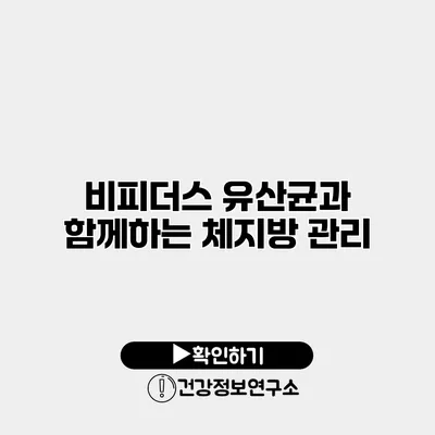 비피더스 유산균과 함께하는 체지방 관리