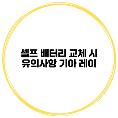 셀프 배터리 교체 시 유의사항 기아 레이