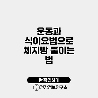 운동과 식이요법으로 체지방 줄이는 법