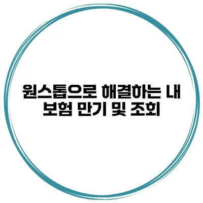 원스톱으로 해결하는 내 보험 만기 및 조회