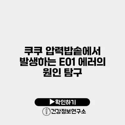 쿠쿠 압력밥솥에서 발생하는 E01 에러의 원인 탐구