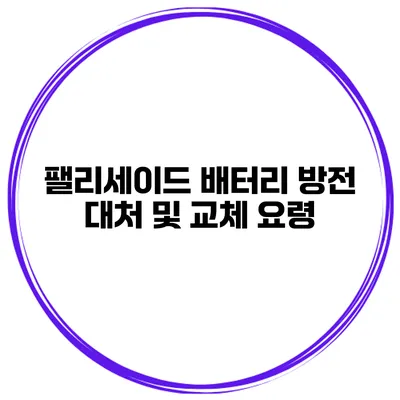팰리세이드 배터리 방전 대처 및 교체 요령