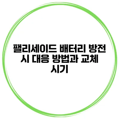 팰리세이드 배터리 방전 시 대응 방법과 교체 시기