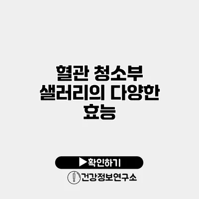 혈관 청소부 샐러리의 다양한 효능